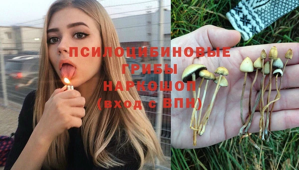 амфетамин Богородицк